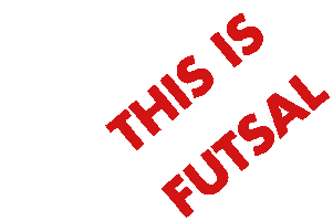 Perugia Futsal Sticker