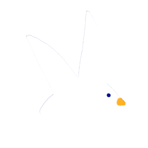 White Sticker