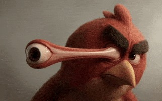 Angry Birds Look GIF