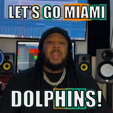 Miami Dolphins GIF by Criss P