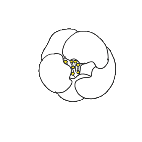 幸福 Sticker
