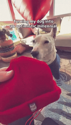 Dog Rhs GIF