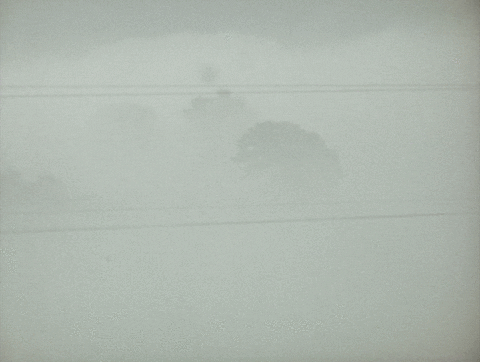 fog