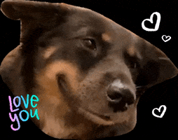 PawssionProject love heart dog rescue GIF
