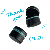 Macaron Thank You Sticker