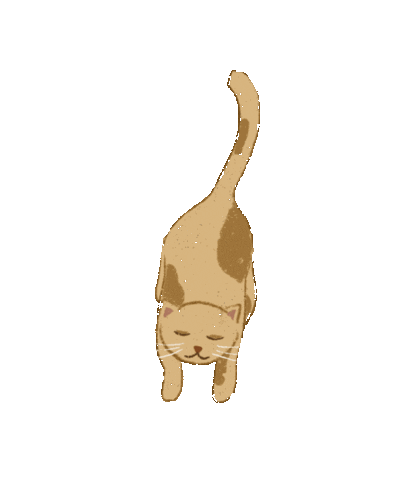 Cat Sticker