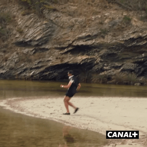 Fun Yes GIF by CANAL+