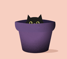 GIF by Imago