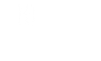 Film Video Sticker by Wolf Luv Films