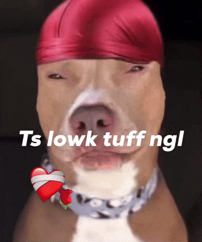 Dog Sigma GIF
