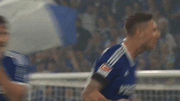 Celebration Goal GIF by FC Schalke 04