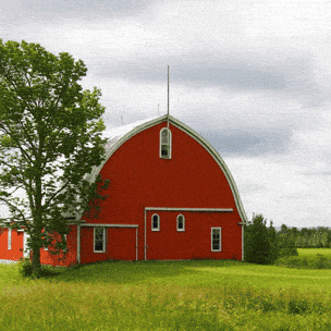 Enhance Your Pet's Diet with Fresh Pet Food Delights