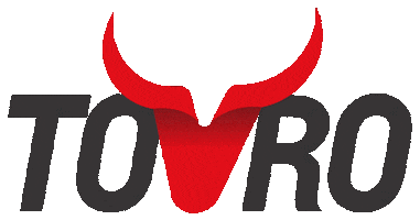 Touro Brasil Sticker