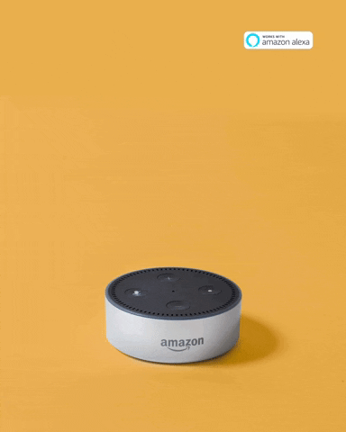 Amazon Alexa GIF by Imaginealady