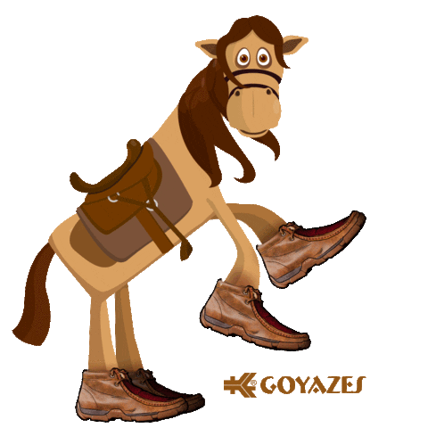 Instagram Moda Sticker by Goyazes