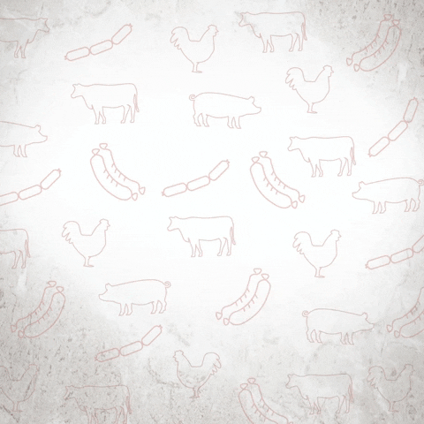 GIF by thebeststop