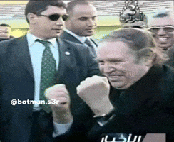 Algeria Dz GIF