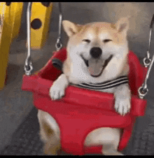 Happy GIF