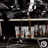royal cup monday GIF by Royal Cup Coffee & Tea