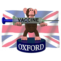 Union Jack Vaccine GIF