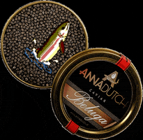Caviar Beluga GIF by AnnaDutch