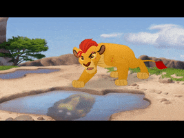 The Lion Guard GIF