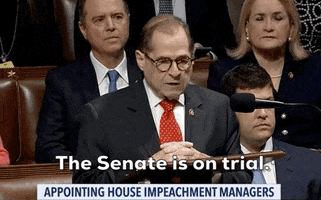 news impeachment impeachment trial jerry nadler impeachment managers GIF