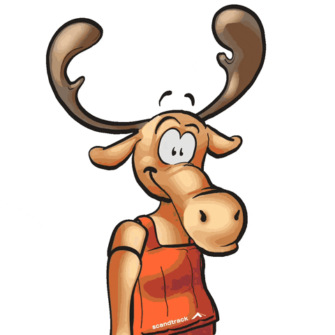 Deer Omg GIF by scandtrack touristik GmbH