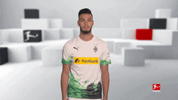 Slow Down What GIF by Bundesliga