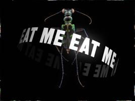 Hungry GIF