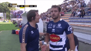 Agen_Rugby rugby top14 agen pas content GIF
