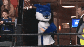 Wildcats GIF by SUNY Polytechnic Institute
