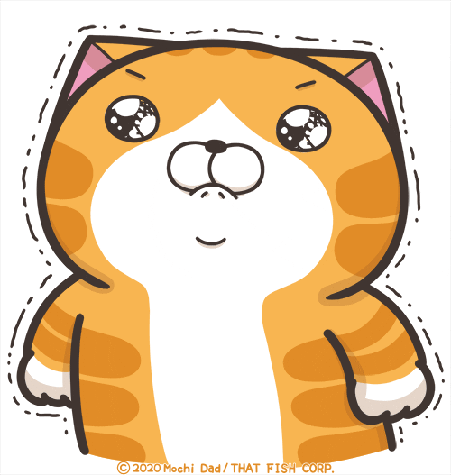 Cat No GIF by MochiDad