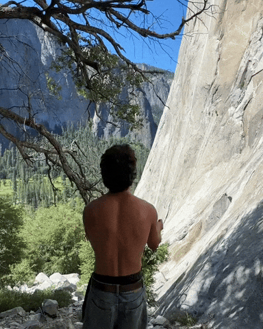 Davidbarnez GIF