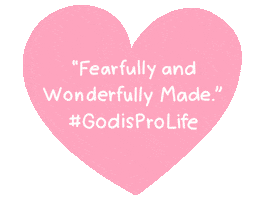 Pro Life Anti Abortion Sticker