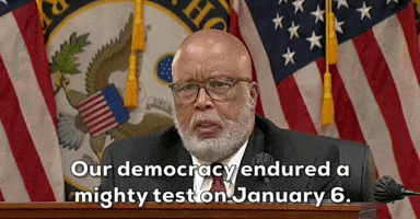 Jan 6 GIF by GIPHY News