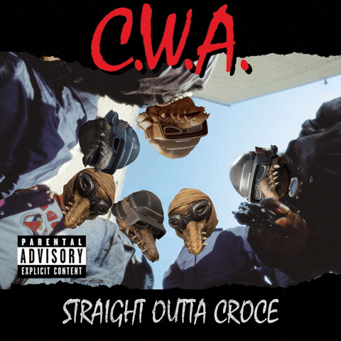 Star Wars Nwa GIF