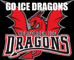 Herforder_EV goal hockey go dragons GIF