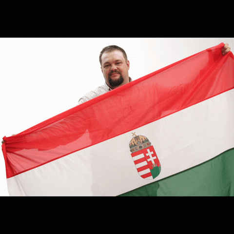 Biro Laszlo GIF by Jobbik Magyarországért Mozgalom