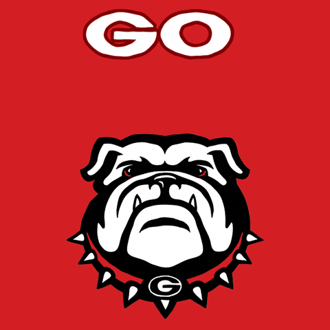 Digital art gif. Bulldog mascot for the University of Georgia pants happily, then gives a stern look against a red background. Text, “Go Dawgs, Go Vote.”