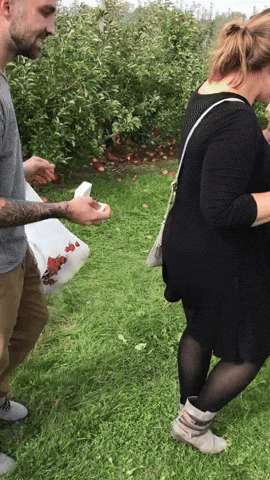 giphy.gif?cid=ecf05e473064cf891e69e8381e