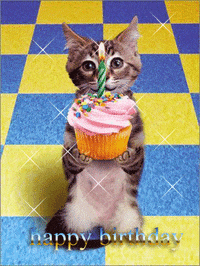 Happy Birthday Party Animal Gifs Get The Best Gif On Giphy Happy Birthday Party Animal Gifs Get The Best Gif On Giphy