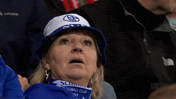 Bundesliga Fan GIF by FC Schalke 04