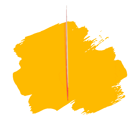 Rioanil Arraialdorioanil Sticker by Rio Anil Shopping