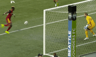 save in the face GIF by Major League Soccer