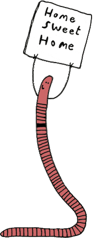 wurmkiste.at Sticker