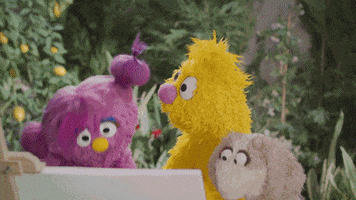 Sesame Street Muppets GIF by MacArthur Foundation