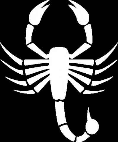 Scorpion Dance Team GIF