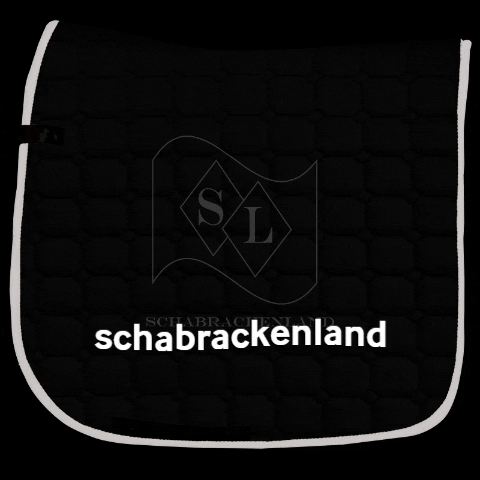 schabrackenland GIF