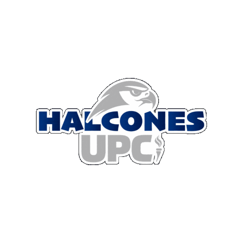 UPCPachuca Sticker